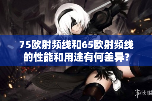 75歐射頻線和65歐射頻線的性能和用途有何差異？
